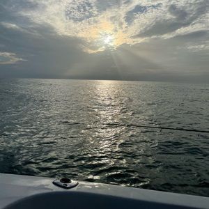 Meet your Posher, Mckenzee